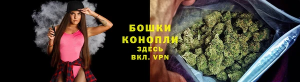 ПСИЛОЦИБИНОВЫЕ ГРИБЫ Арсеньев