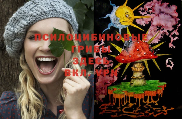 МДПВ Аркадак