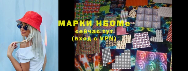 apvp Алзамай