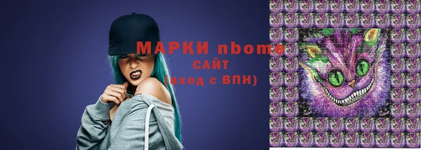 ПСИЛОЦИБИНОВЫЕ ГРИБЫ Арсеньев