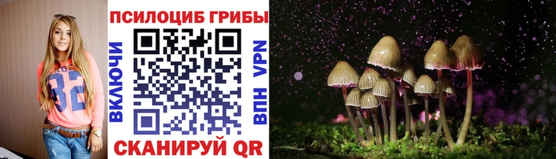 Галлюциногенные грибы Psilocybe  Купить закладки  Дыгулыбгей 